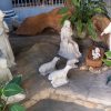 A depiction of the nativity in a covered area outside Carmelite Church. The statues here are all white: baby Jesus on a crib made of actual hay, Joseph standing and Mary sitting beside Jesus. Three sheep are facing Jesus near his feet, and two men, probably shepherds, standing and kneeling on the back of the sheep.