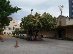 The St. Pio Chapel is an L-shape structure that looks like two separate buildings due to different wall designs. The building on the right has walls that look like it was made-up several smooth stones of different shapes. The recess at the center of this wall has two doors to inside the chapel. Above the recess is a goldtone statue of St. Pio and above it, on the roof is a statue of Jesus depicting his ascension to heaven. The structure on the left, which is perpendicular to the structure on the right, is smooth and beige with several small windows and several doors on the ground level. On the center of the roof of this structure is a white statue of a hooded figure with a child: maybe St. Joseph or St. Anthony of Padua carrying baby Jesus.